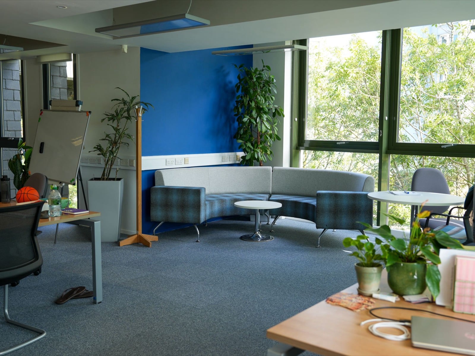 A curved blue sofa against a blue feature wall, with desks, a flipchart and plants around it and tall windows onto trees