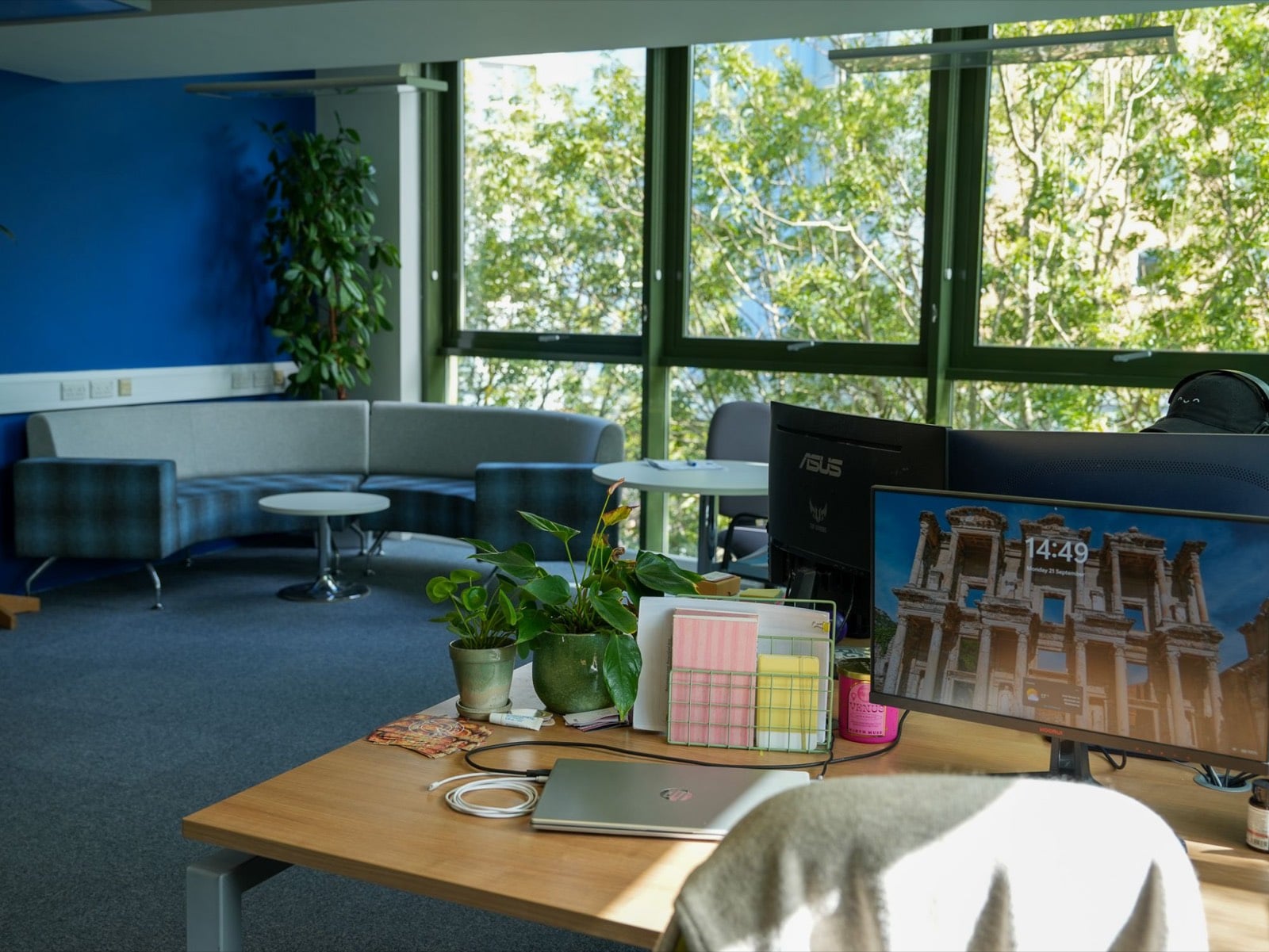 A lived-in desk with plants and monitors, in an office with soft seating and a wall of windows onto trees